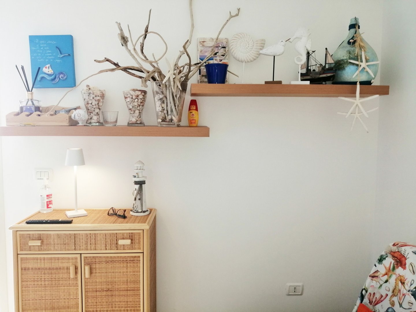 IMG_20241003_120705 _Copia_