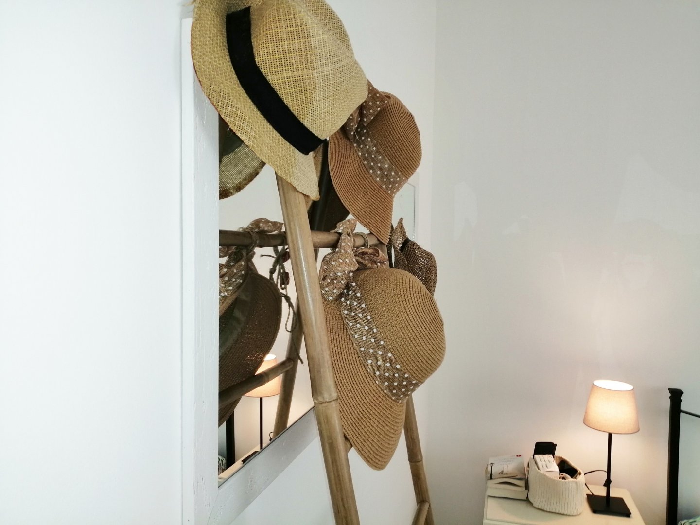 IMG_20241003_121236 _Copia_