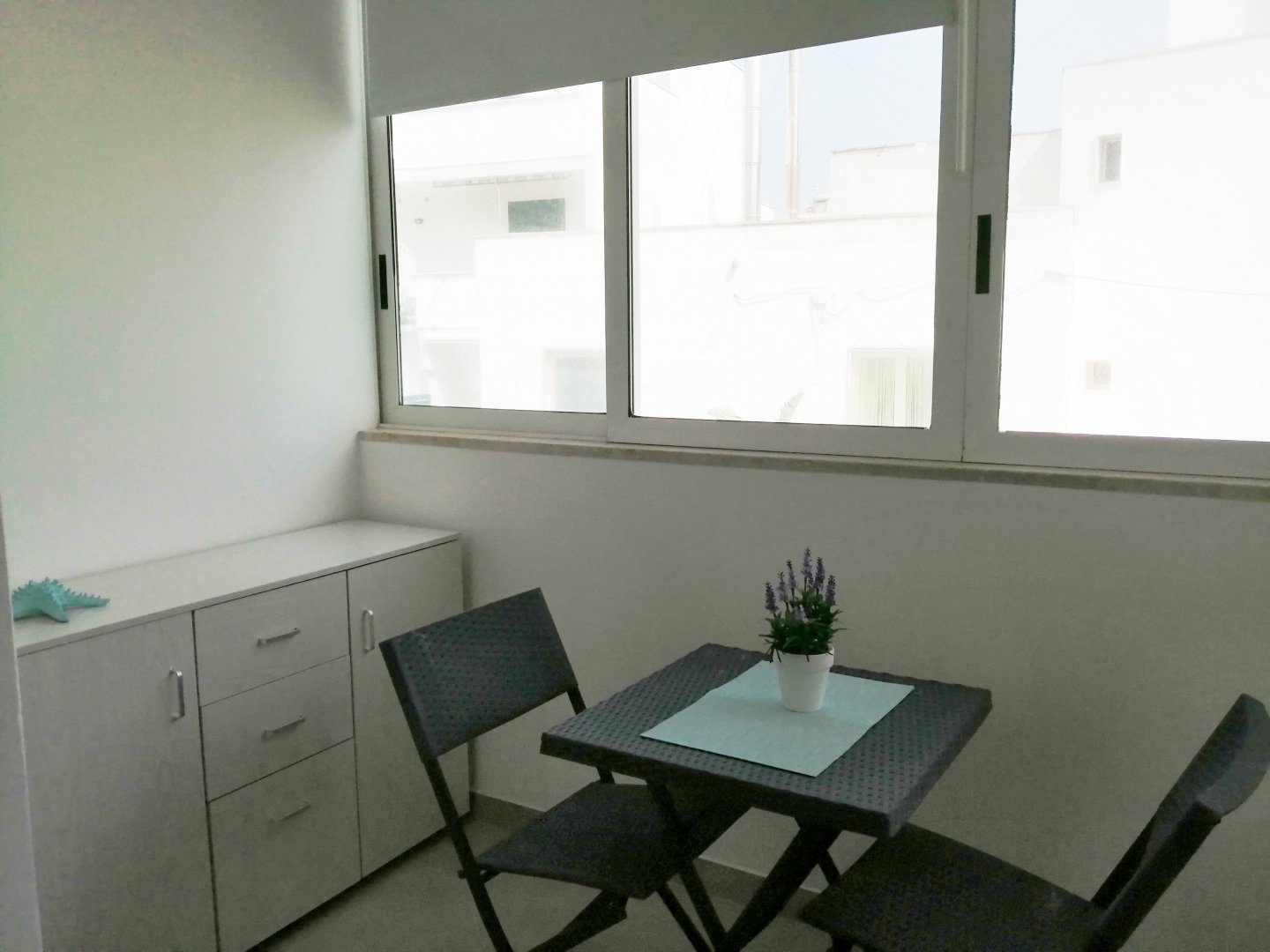 IMG_20250315_120208 _Copia_